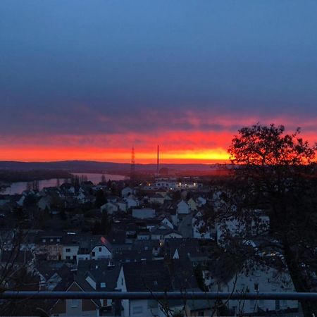 Zum Schoenen Ausblick Weissenthurm エクステリア 写真