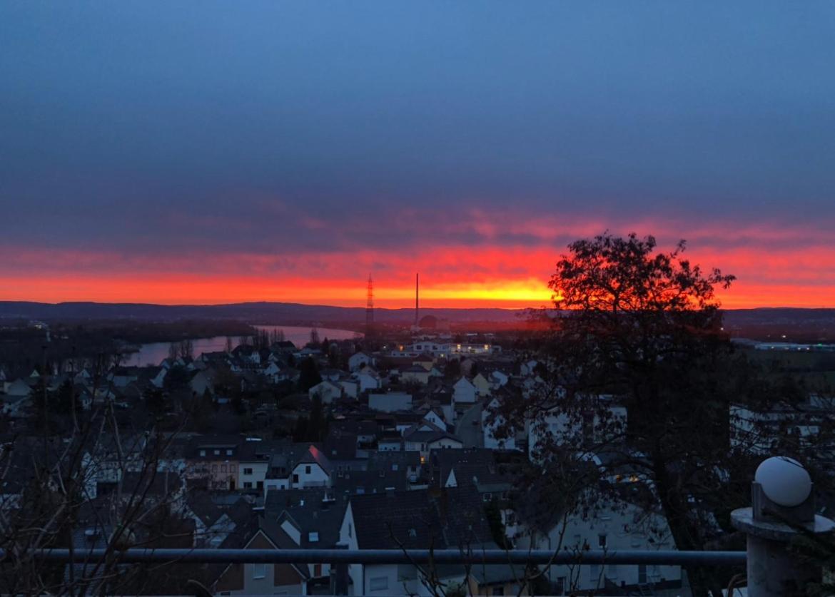 Zum Schoenen Ausblick Weissenthurm エクステリア 写真